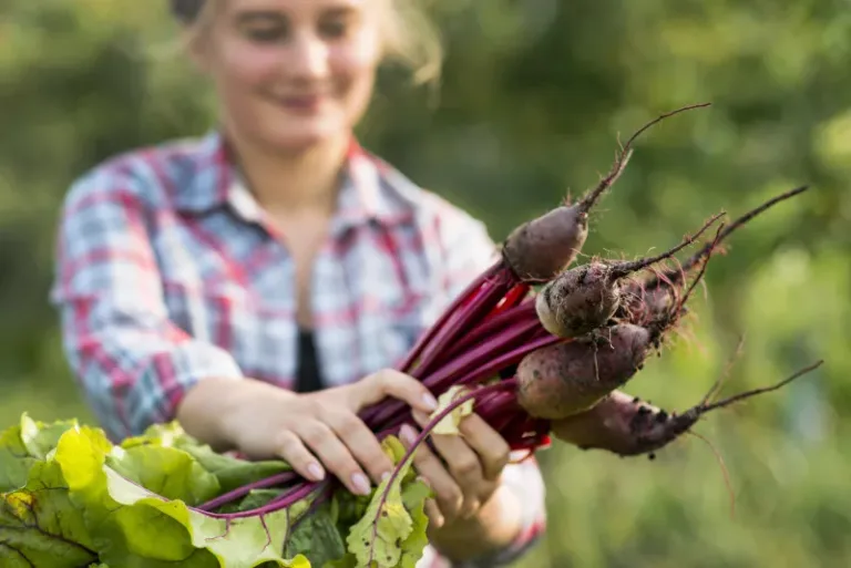 Come remolacha, es una joya de la nutrición