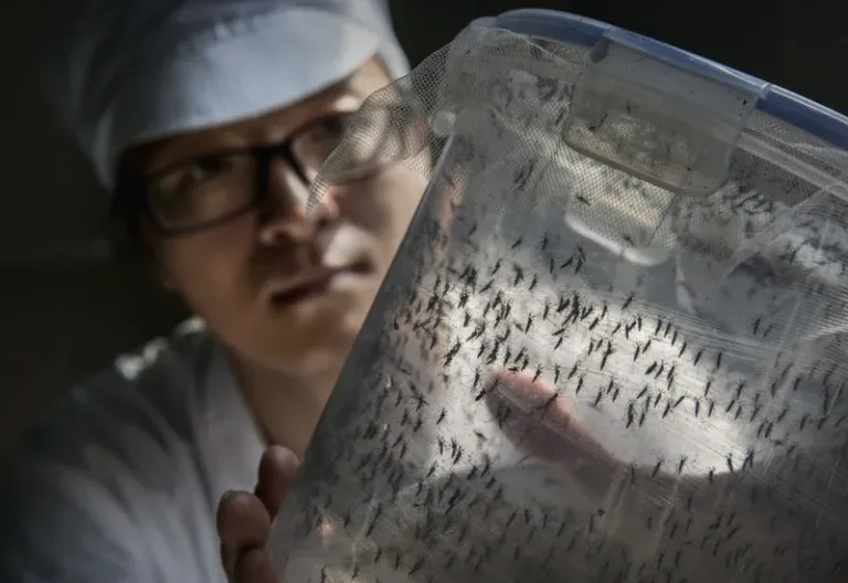 El virólogo advierte sobre la posibilidad de una prolongación en la alta incidencia de virus respiratorios
