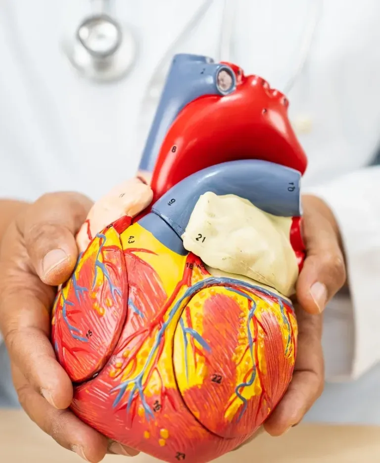 Una terapia combinada logra reducir el colesterol malo