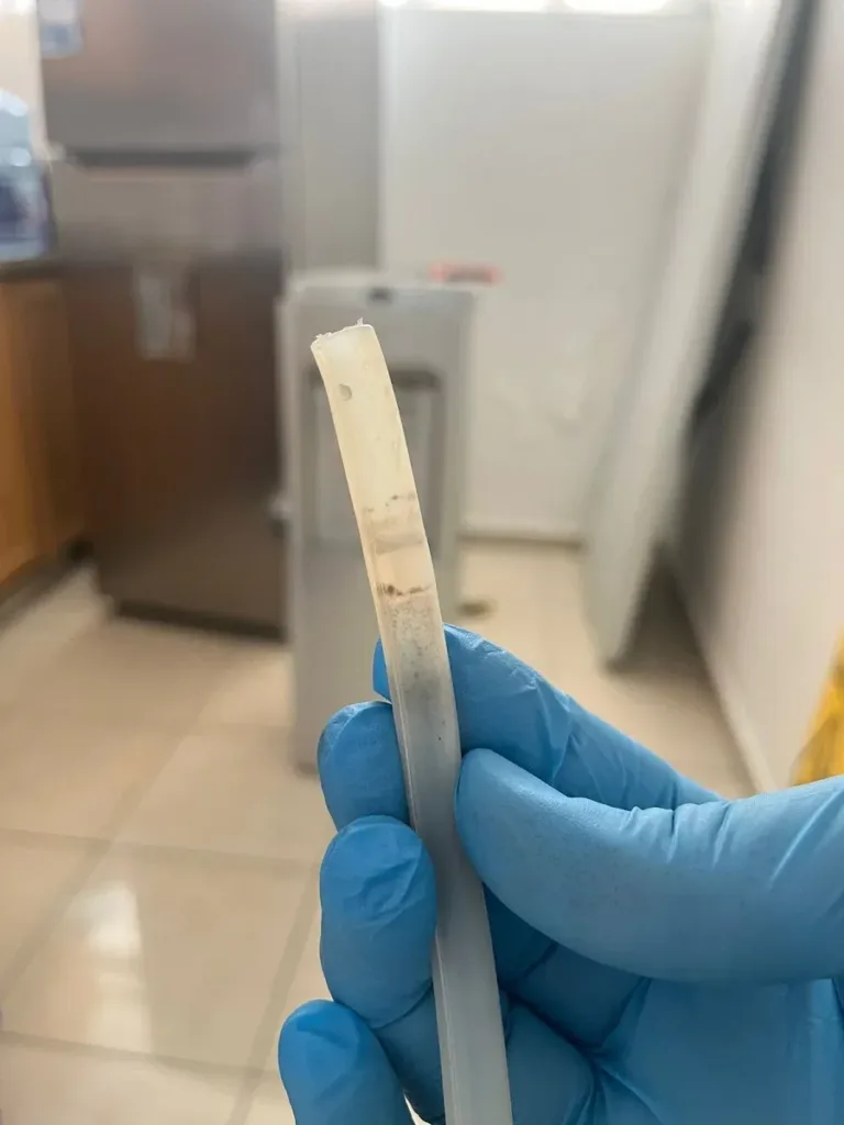 Especialista alerta sobre riesgos para la salud por tomar agua de bebederos contaminados