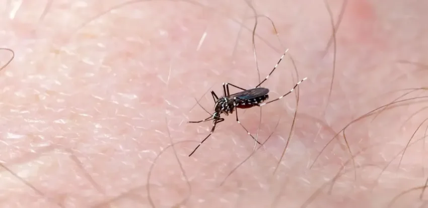 Dengue registra su cifra más baja desde enero, con 1 caso confirmado, pese a verano