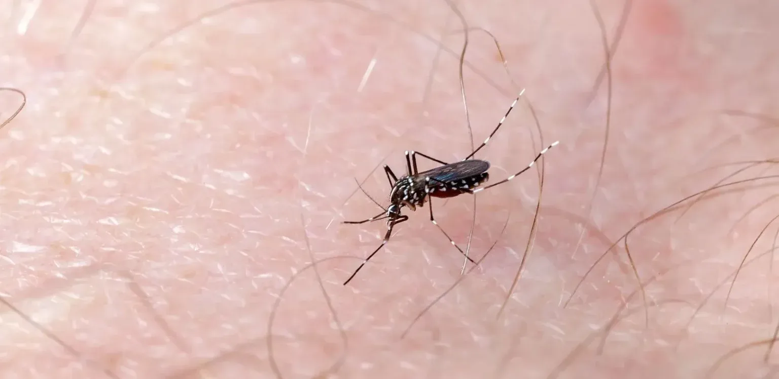 Dengue registra su cifra más baja desde enero, con 1 caso confirmado, pese a verano