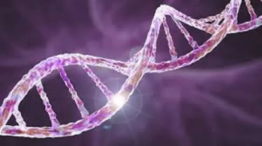 Mayo Clinic desarrolla herramienta para detectar alteraciones genéticas ocultas en el cáncer