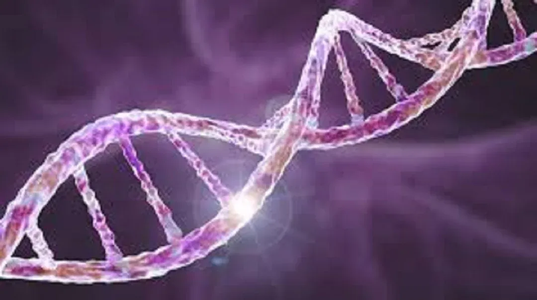 Mayo Clinic desarrolla herramienta para detectar alteraciones genéticas ocultas en el cáncer
