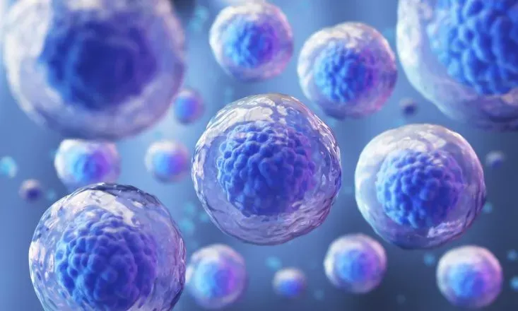 Estudio revela efectividad uso células madre en quimioterapia