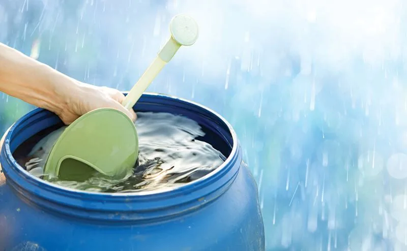 SP recomienda medidas para evitar enfermedades por las lluvias