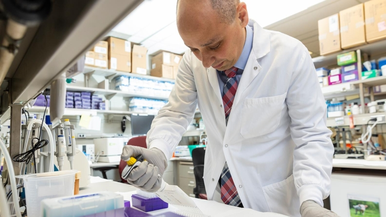 Mayo Clinic: envejecimiento celular limita eficacia el cáncer