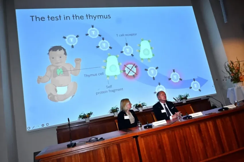¿Qué es la tolerancia inmunológica periférica que motivó el Premio Nobel de Medicina?