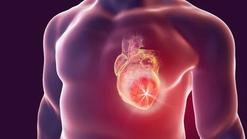 Descubren una proteína clave que aumenta el riesgo de muerte súbita tras un infarto