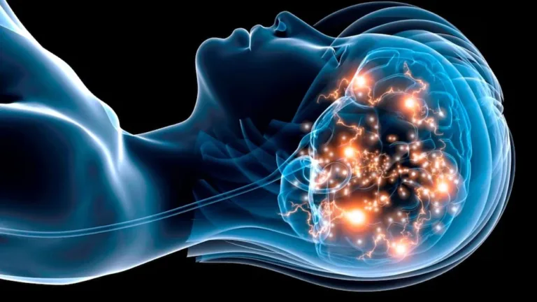 ¿El cerebro se “despierta” al soñar? Un nuevo hallazgo reveló que la mente nunca descansa