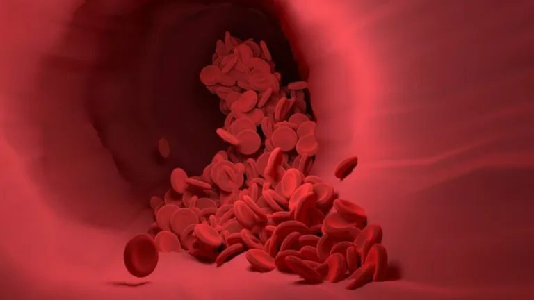 Avance significativo contra un cáncer que afecta a adultos jóvenes: un nuevo tratamiento logra altas tasas de remisión