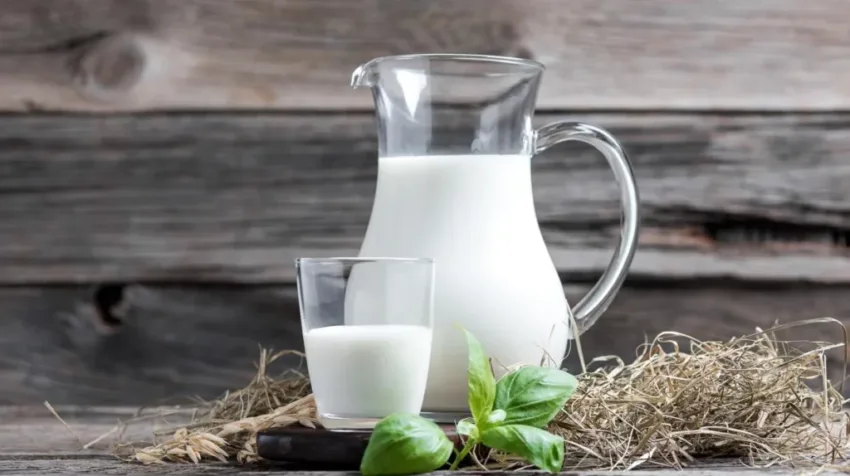 La leche, una aliada clave para prevenir la osteoporosis y la sarcopenia