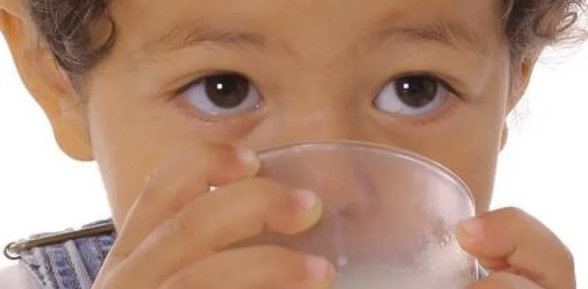 Proteínas y lácteos en el centro de las nuevas pautas nutricionales federales