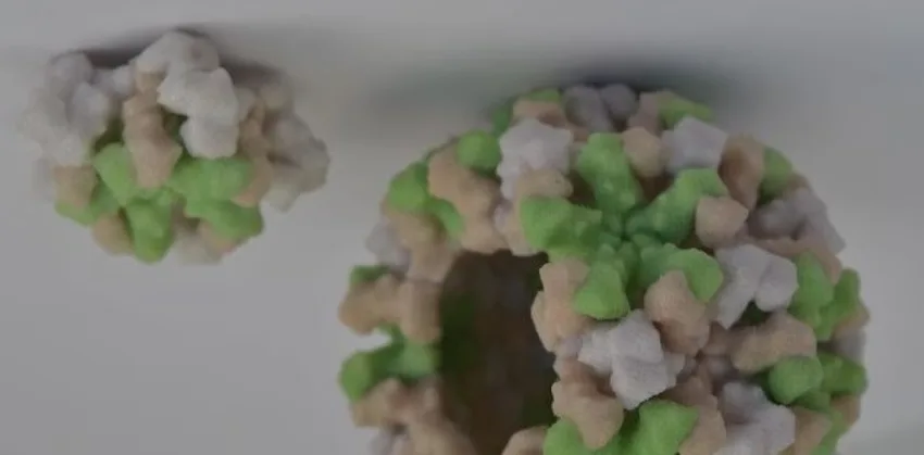 Nuevo estudio revela cómo el virus de Epstein-Barr daña el cerebro y provoca esclerosis múltiple