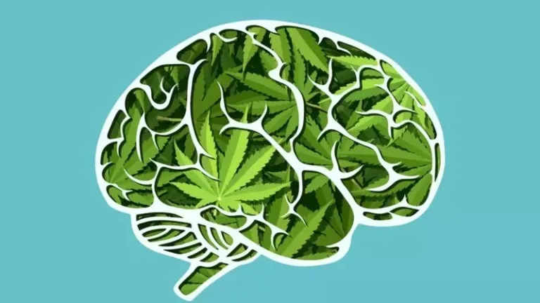 Alerta científica: el cannabis estaría inflamando el cerebro durante episodios psicóticos