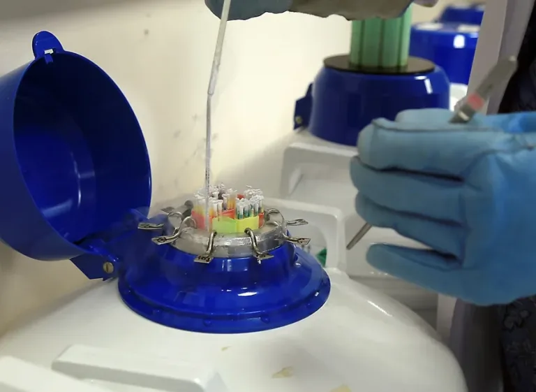 Estudio detecta compuestos químicos en el semen que afectan a la salud reproductiva