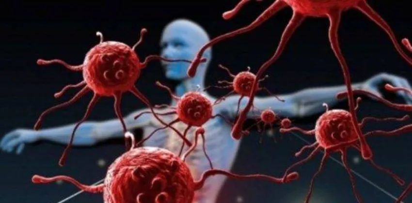 Día de la Inmunología: Tu sistema inmune trabaja 24/7: así te protege sin que lo sepas