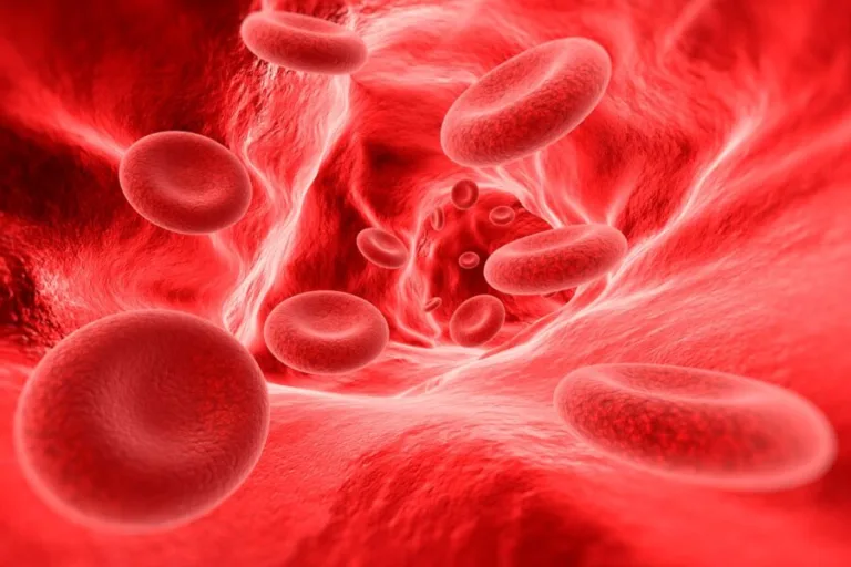 Hoy Día Mundial de Hemofilia: 3 de cada que la padecen no lo saben