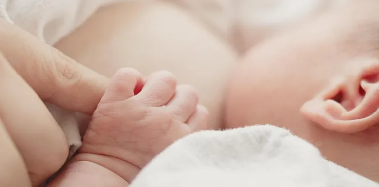 Maternidad y apego, el refugio primordial