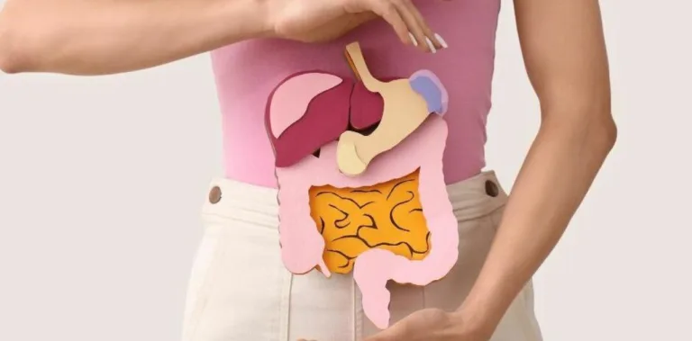 Día Mundial de la Salud Digestiva: Claves para cuidar tu intestino en 2026