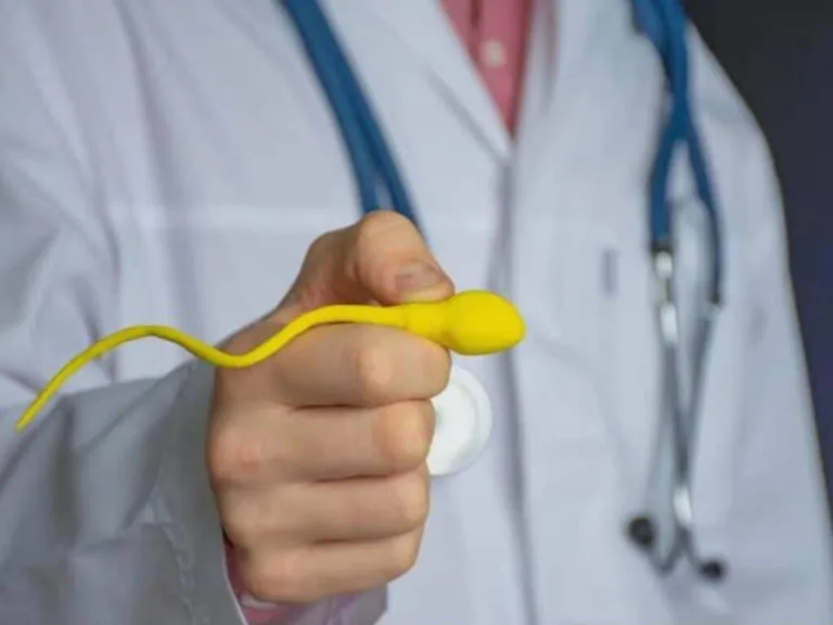 Realizan trasplante a hombre estéril y logra producir espermatozoides