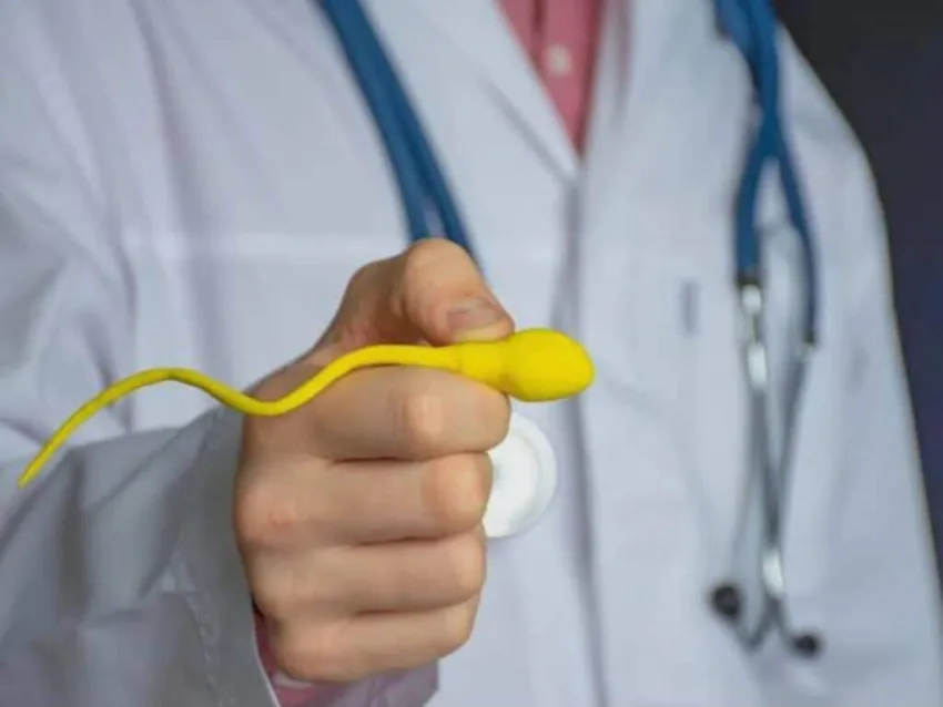 Realizan trasplante a hombre estéril y logra producir espermatozoides