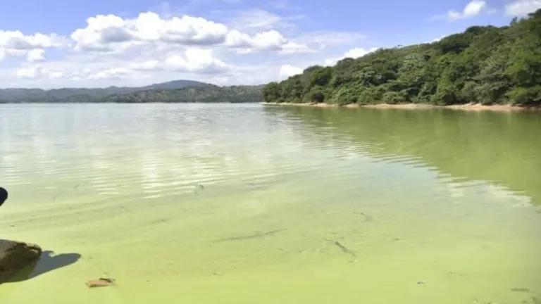 Inconcluso diagnóstico sobre contaminación presa de Hatillo
