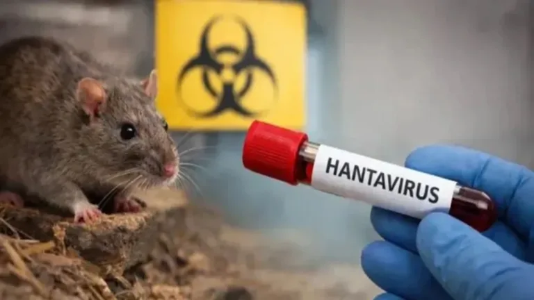Hantavirus en un crucero: dos nuevos casos, cinco bajo sospecha y la búsqueda contrarreloj 