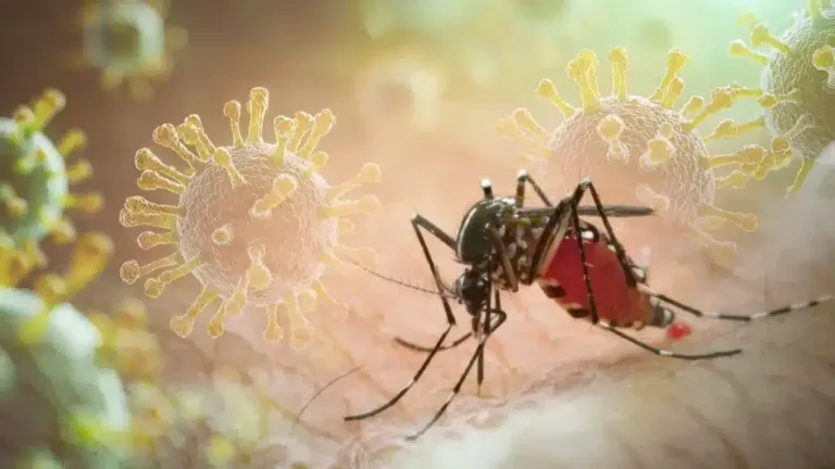 Texas reporta primer caso humano de virus del Nilo Occidental en 2026