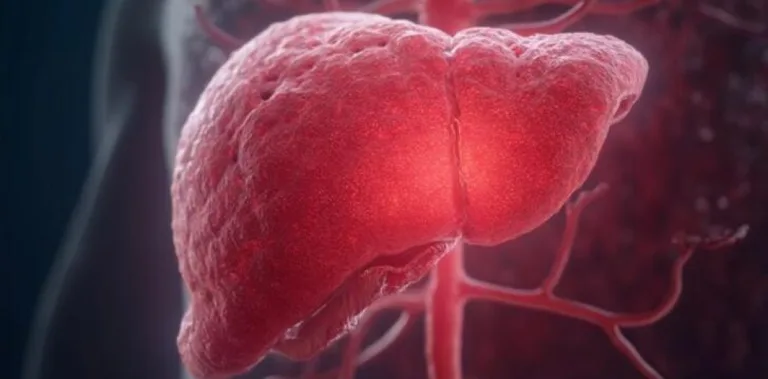 La OMS alerta sobre el aumento de muertes por hepatitis: ¿Cuál es el mayor obstáculo al combatirla?