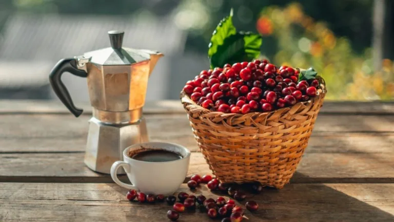 Café recalentado puede afectar al estómago, según la ciencia