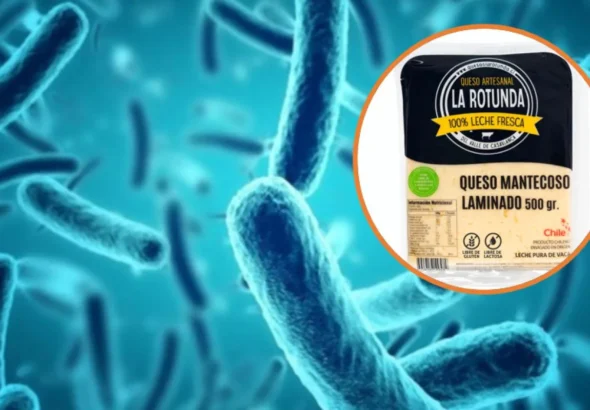 Alerta por listeria en queso