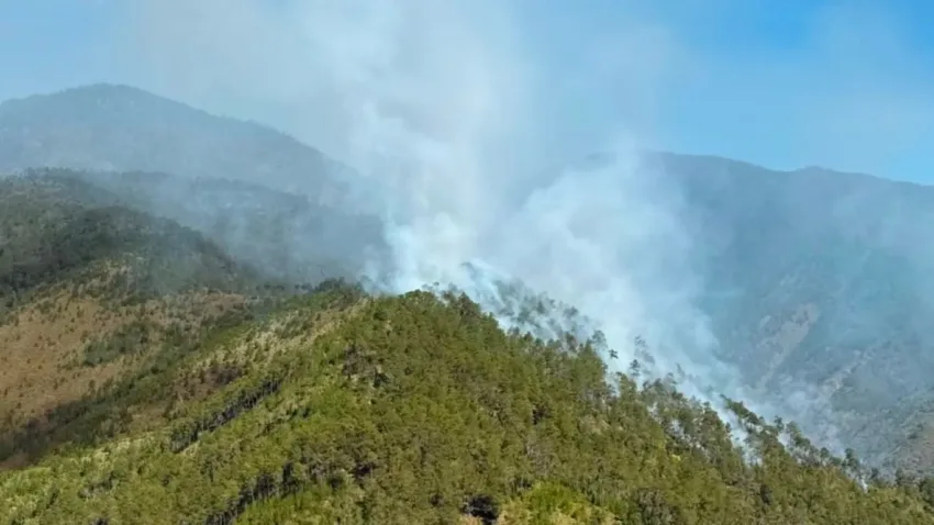 Conoce cómo afecta el humo de los incendios la salud cardiovascular