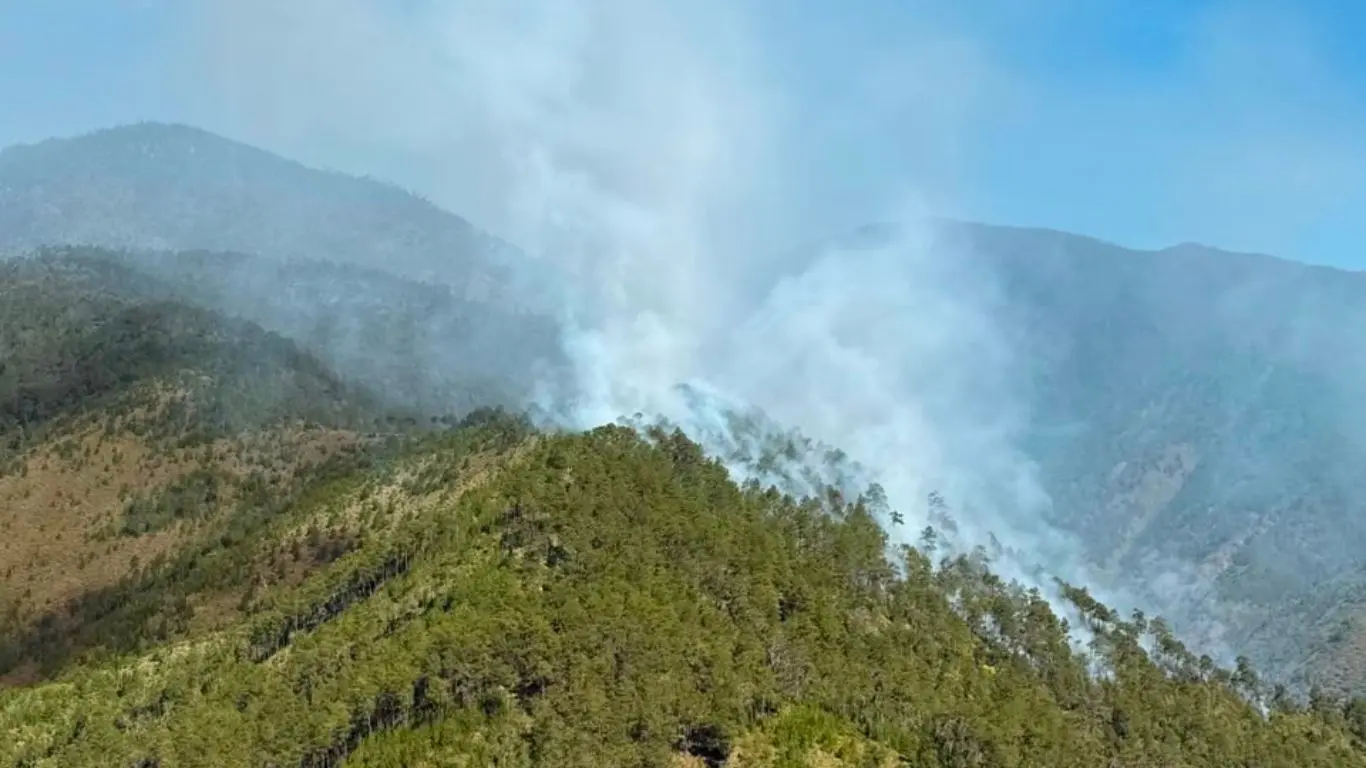 Conoce cómo afecta el humo de los incendios la salud cardiovascular