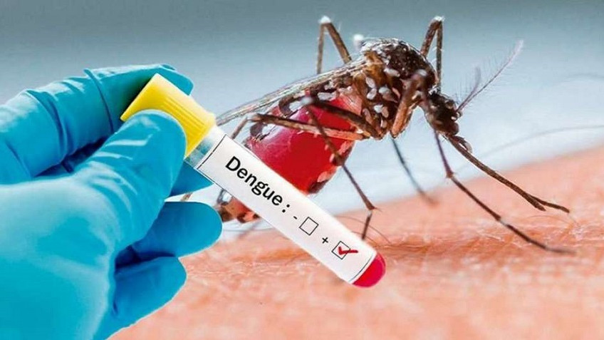Salud aumenta prevención del dengue; pide eliminar criaderos
