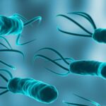 El 12 % de los cánceres en 2024 estuvo vinculado a infecciones como H. pylori y VPH