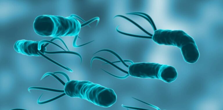 El 12 % de los cánceres en 2024 estuvo vinculado a infecciones como H. pylori y VPH