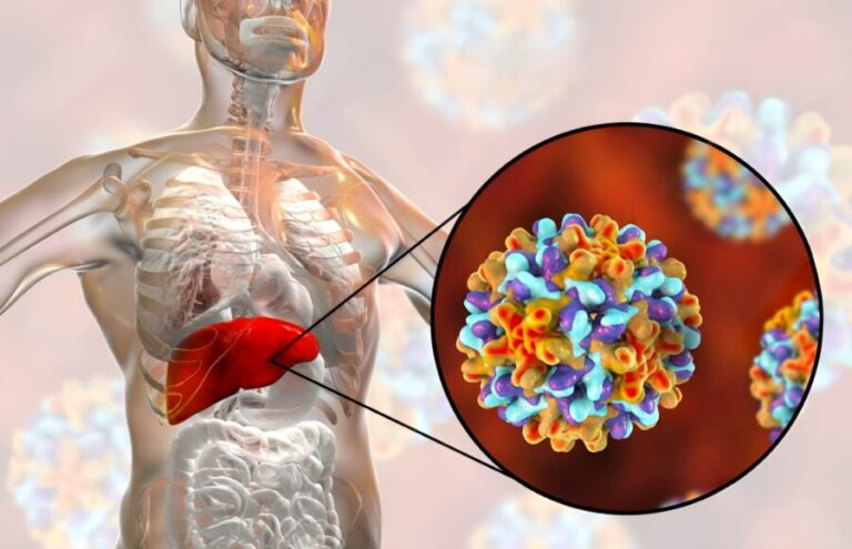 hepatitis B y C