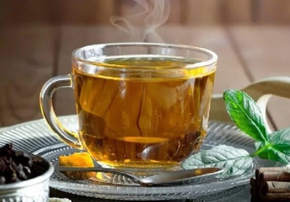 infusión de boldo para el colesterol