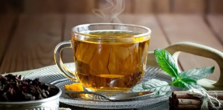 infusión de boldo para el colesterol