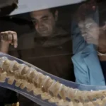 La osteoporosis secundaria: cuando la enfermedad no viene sola